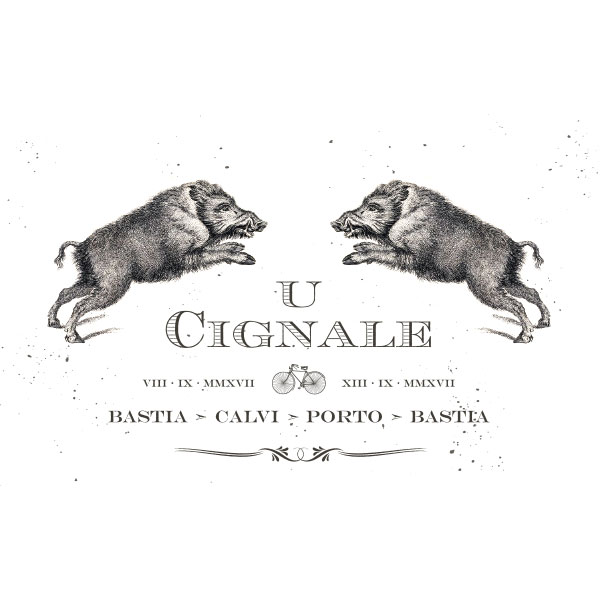 U Cignale